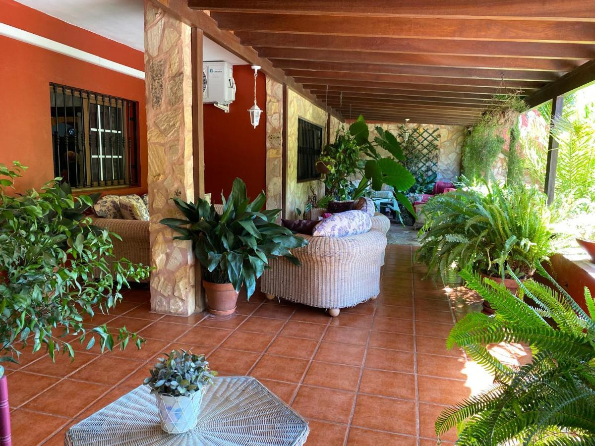 Casa Lazaro, Tegueste Exterior foto