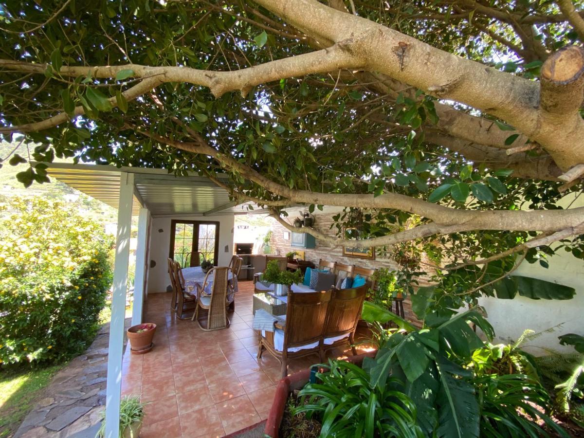 Casa Lazaro, Tegueste Exterior foto