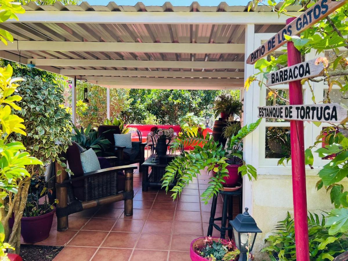 Casa Lazaro, Tegueste Exterior foto